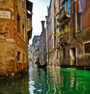 Венеция будет добывать электричество из водорослей