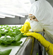 Все продукты с ГМО будут отмечены специальным маркером
