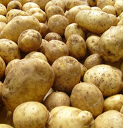 Ученые расшифровали геном картофеля