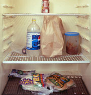 Что лежит в холодильнике у жителей США. Фото