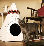 Новая мода: дома для кошек. Фото