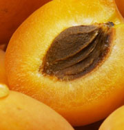 Полезно ли есть абрикосы?