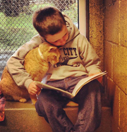 Кошки помогают детям учиться. Фото