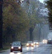 Автолюбители смогут ставить оценки качеству дорог