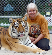 Женщина в 57 лет живет вместе с тиграми. Фото