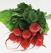 Редис — самый малокалорийный и полезный продукт