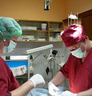 Пациенты по-разному восстанавливаются после операции из-за клеток крови