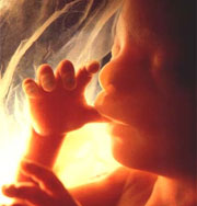 Токсикоз на раннем сроке беременности гарантирует рождение умного и здорового ребенка