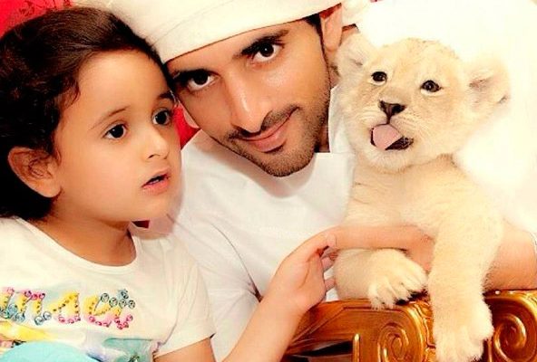 Жизнь наследника престола Арабских Эмиратов — принца-миллиардера. Фото