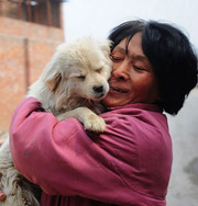 Китайская учительница спасла 100 собак от смерти во время фестиваля. Фото