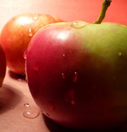 Черника и яблоки нужны для похудения