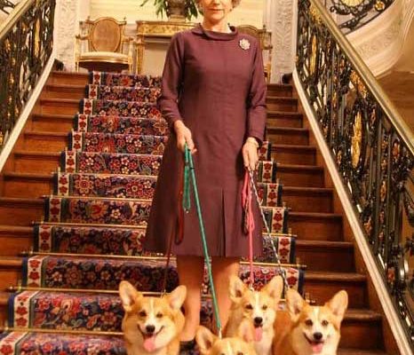 Любимые питомцы самых известных мировых знаменитостей. Фото