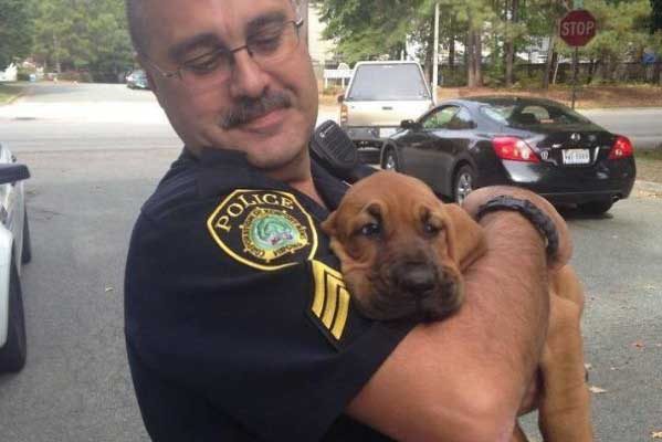 Щенки в первый день на своей будущей службе. Это действительно серьезная работа. Фото