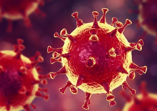 Врачи пытаются понять причины высокой смертности от коронавируса