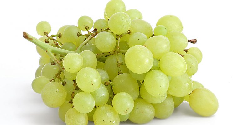 Может ли виноград защитить от рака?