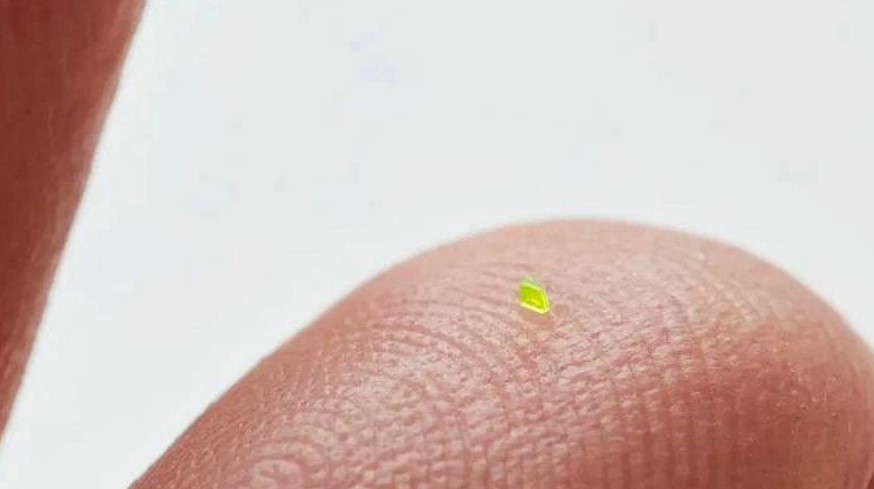 Louis Vuitton создал микросумку, которая еле видна на кончике пальца