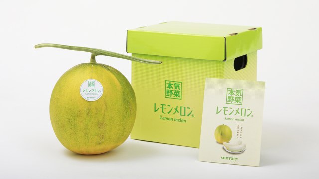 Лимонная дыня: японцы вывели новый уникальный фрукт