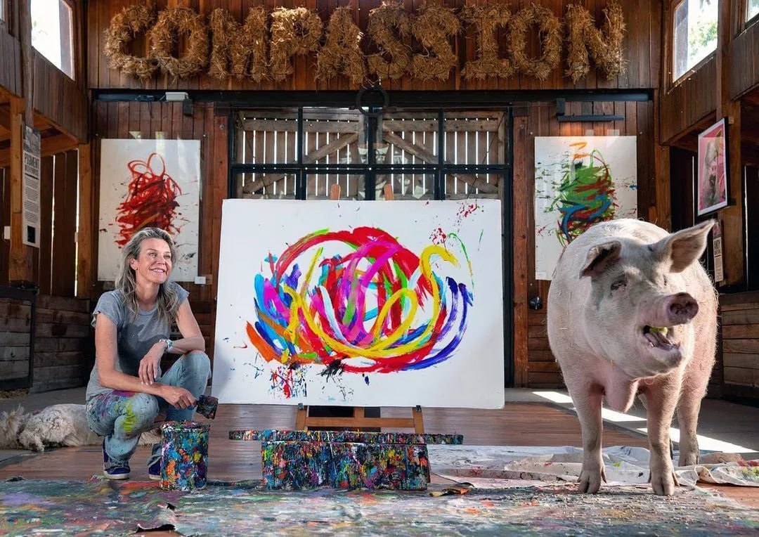 Свинья-художник Пигкассо заработала миллионы