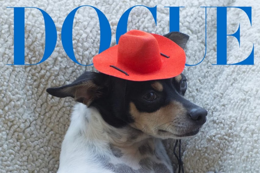 Dogue: новый проект Vogue о собаках знаменитостей