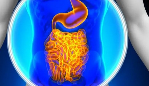 Самые вредные для кишечника продукты: список