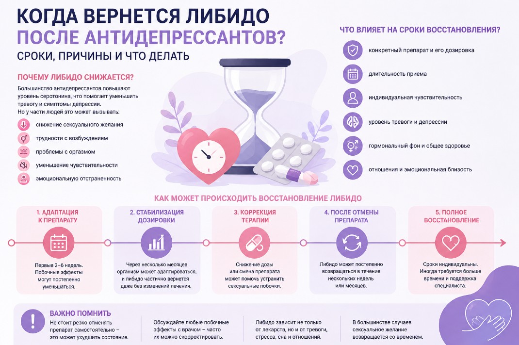 Когда вернется либидо после антидепрессантов