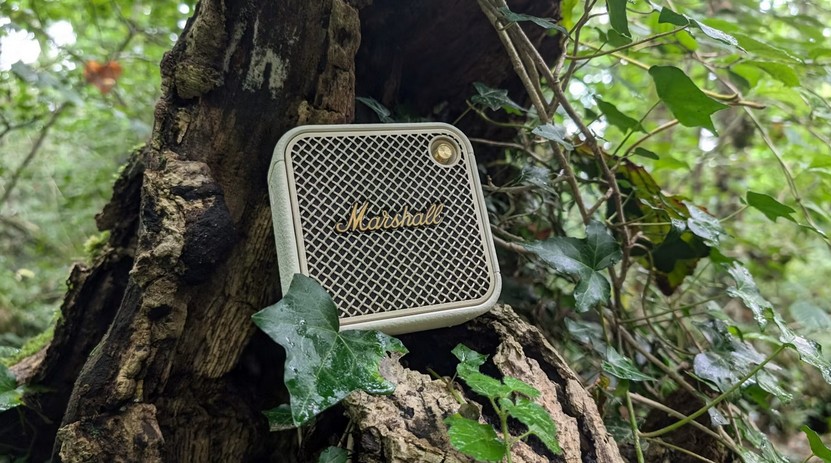 Колонка Marshall чи JBL: яку компактную акустику придбати для літа і затишних вечорів?