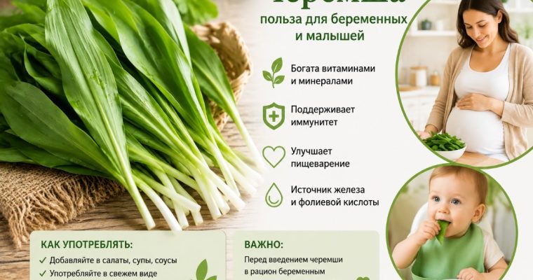 Черемша для беременных и малышей: польза и меры предосторожности