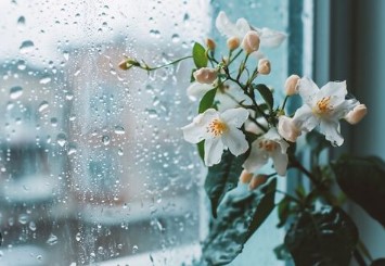 Дождь как разрешение не спешить