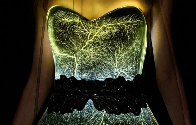 Iris van Herpen представила коллекцию кутюр с «живыми» платьями