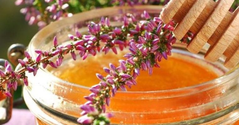Вересковый мёд: редкий вкус, польза и цена