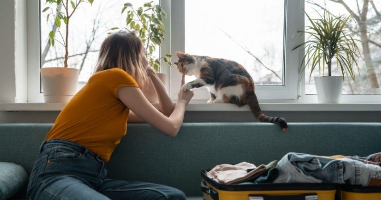 Почему кошке лучше остаться дома во время вашего отпуска